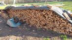 Franse eiken hout aan 100 euro de kuub, Ophalen of Verzenden