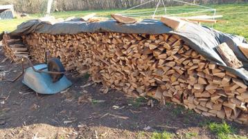 Franse eiken hout aan 100 euro de kuub beschikbaar voor biedingen