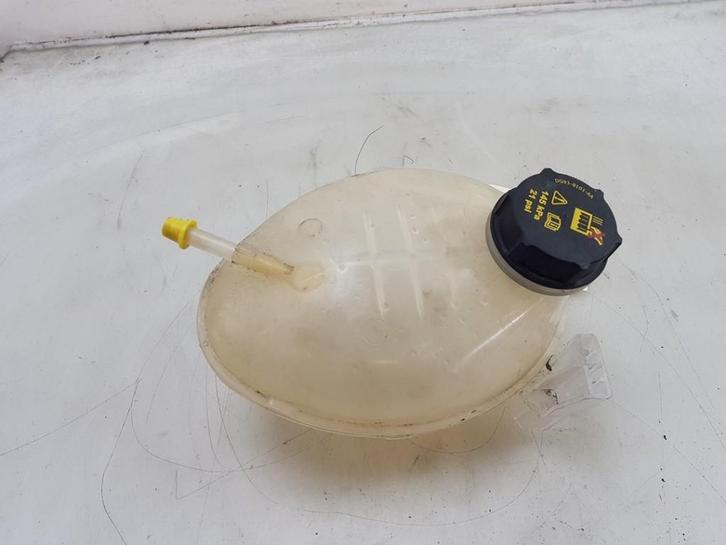 EXPANSIERESERVOIR Ford Fiesta 7 (01-2017/07-2023), Auto-onderdelen, Overige Auto-onderdelen, Ford, Gebruikt