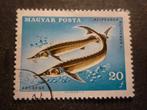 Hongarije/Hongrie 1967 Mi 2344A(o) Gestempeld/Oblitéré, Envoi