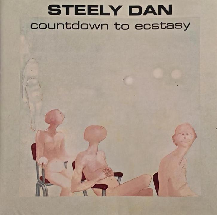 STEELY DAN - Countdown to ecstasy (CD), Cd's en Dvd's, Cd's | Rock, Zo goed als nieuw, Poprock, Ophalen of Verzenden