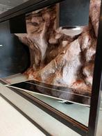 Prachtig terrarium, Dieren en Toebehoren, Ophalen of Verzenden, Zo goed als nieuw