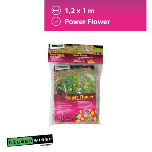 Parterre de fleurs bio Easygreen Power Flower en laine de 1, Jardin & Terrasse, Bulbes & Semences, Graine, Printemps, Plein soleil