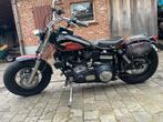 Shovelhead 1979, Particulier