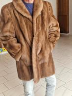 Bond jas, Kleding | Dames, Jassen | Winter, Ophalen, Zo goed als nieuw, Maat 46/48 (XL) of groter