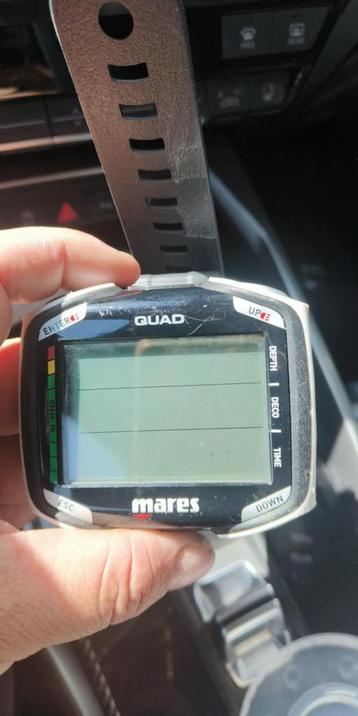 mares quad beschikbaar voor biedingen