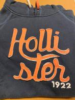 Sweater Hollister Small, Kleding | Dames, Ophalen of Verzenden, Zo goed als nieuw