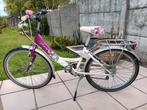 Meisjesfiets Raleigh 22 inch, Ophalen of Verzenden, Zo goed als nieuw, 22 inch, Versnellingen