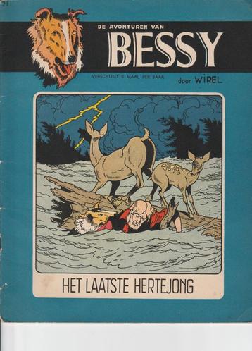 Bessy- Het laatste hertejong beschikbaar voor biedingen