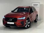 Volvo XC60 T8 Recharge Plus Dark, Rouge, Achat, Entreprise, 1969 cm³