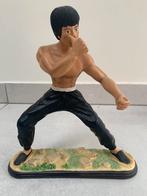 Bruce Lee beeldje, Ophalen of Verzenden, Zo goed als nieuw, Mens