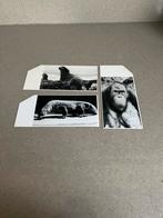 Chromos prenten Jubilè dieren groot formaat sigarenbanden, Verzamelen, Verzenden, Zo goed als nieuw, 1940 tot 1960, Dier