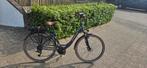 Elektrische damesfiets defecte batterij, Fietsen en Brommers, Fietsen | Dames | Moederfietsen, Ophalen