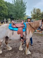 Boomloos Mags westernzadel, Animaux & Accessoires, Chevaux & Poneys | Selles, Enlèvement, Dressage