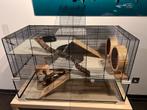 Ferplast Cage pour rongeurs karat 100, Animaux & Accessoires, Enlèvement, Comme neuf