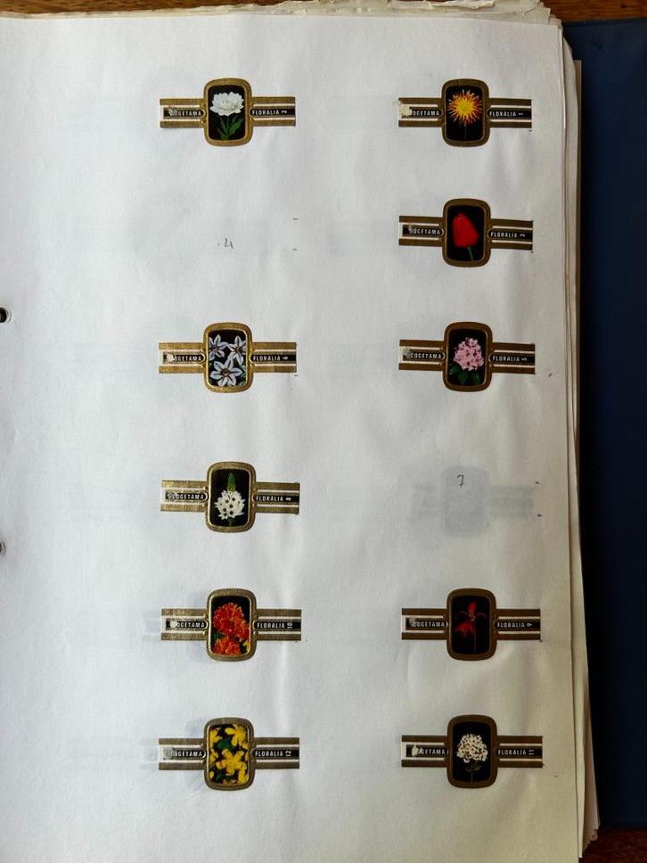 Verzameling sigarenbandjes boek 1 deel 2/6, Verzamelen, Rookartikelen, Aanstekers en Luciferdoosjes, Zo goed als nieuw, Sigarenbandjes