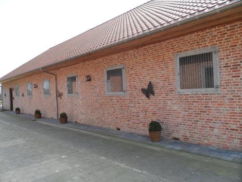 Stalling te Turnhout, Dieren en Toebehoren, Paarden