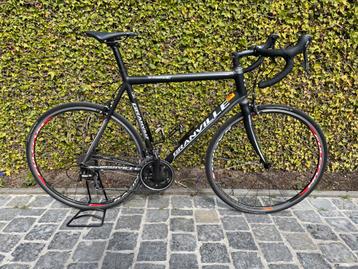 Koersfiets te koop beschikbaar voor biedingen