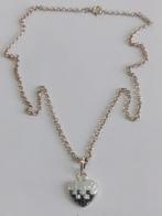 Nieuwe Zilveren Ketting, Handtassen en Accessoires, Ophalen of Verzenden, Nieuw, Zilver, Zilver