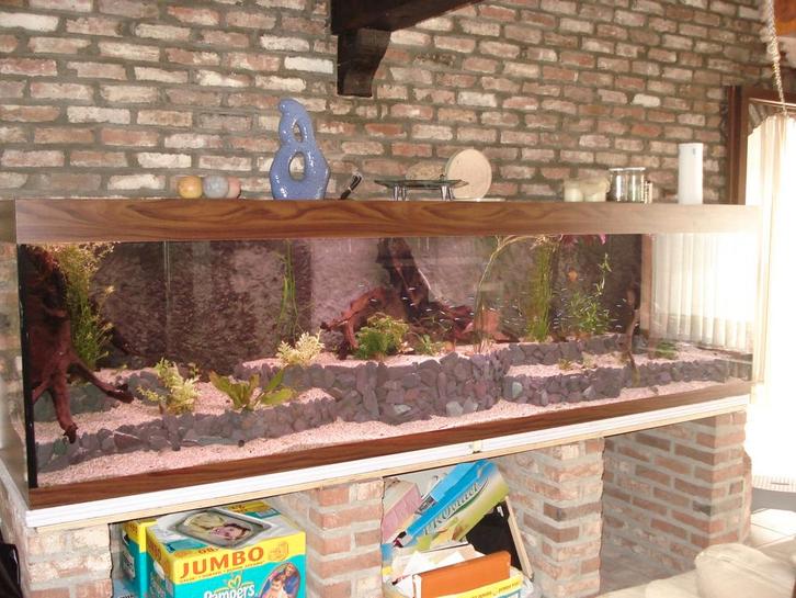 Groot lot aquaria en benodigdheden., Dieren en Toebehoren, Vissen | Aquaria en Toebehoren, Gebruikt, Ophalen