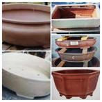 Recherche pot à bonsai à échanger..., Ophalen, Zo goed als nieuw