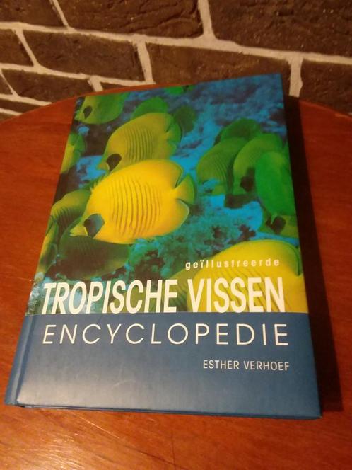 Esther Verhoef -Tropische vissen encyclopedie /geïllustreerd, Livres, Animaux & Animaux domestiques, Comme neuf, Poissons, Enlèvement ou Envoi