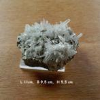 Mineralen, koralen, gesteenten, Verzamelen, Mineralen en Fossielen, Ophalen, Overige typen