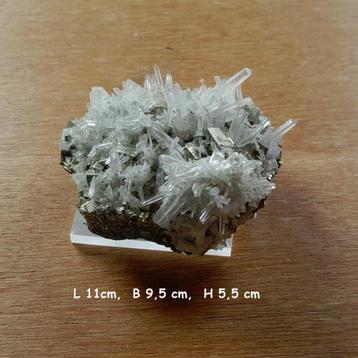 Mineralen, koralen, gesteenten beschikbaar voor biedingen