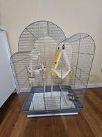 Kooi voor vogels, Ophalen of Verzenden, Nieuw, Vogelkooi