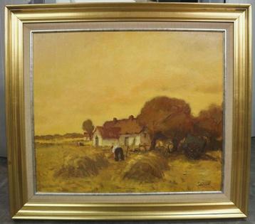 Juul DE CORT, oogst beschikbaar voor biedingen