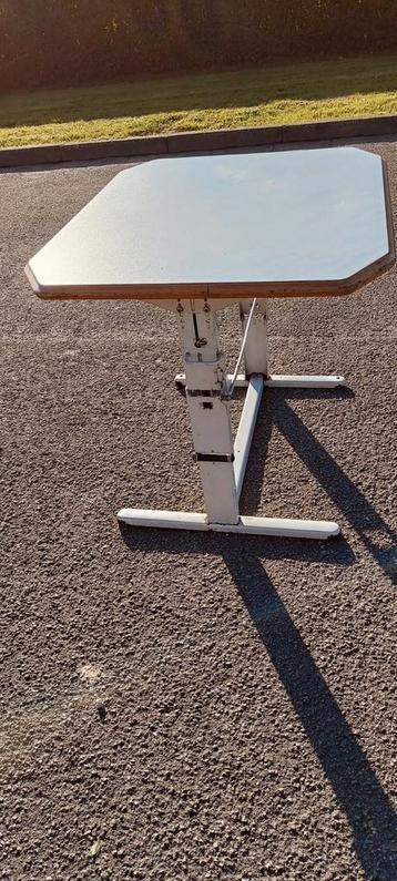 Table pliante disponible aux enchères