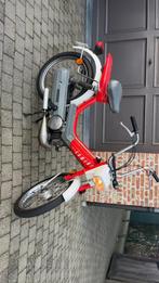 Honda camino a klasse, Enlèvement