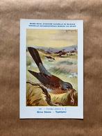 Vogels van België Nr. 180 Tjaklijster, Collections, Cartes postales | Animaux, Enlèvement ou Envoi, Non affranchie, Oiseaux