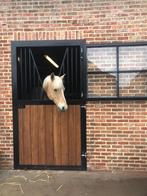 porte d'écurie, porte d'écurie, porte d'écurie pour chevaux, Animaux & Accessoires, Box & Pâturages, Pâturage, 2 ou 3 chevaux ou poneys