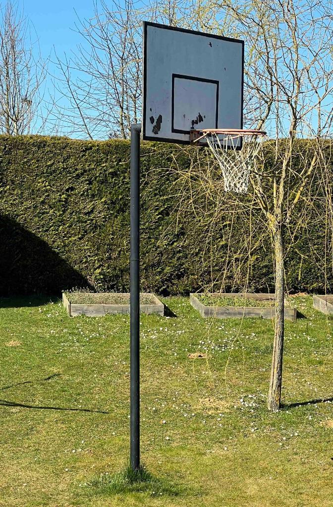 Basketbalpaal + bord + ring + net, Sport en Fitness, Basketbal, Gebruikt, Ring, Bord of Paal, Ophalen