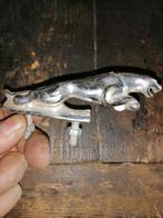 insigne auto jaguar, Ophalen, Nieuw, Jaguar