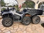 Can  Am Outlander 6x6 1000 cc, Motoren, 2 cilinders