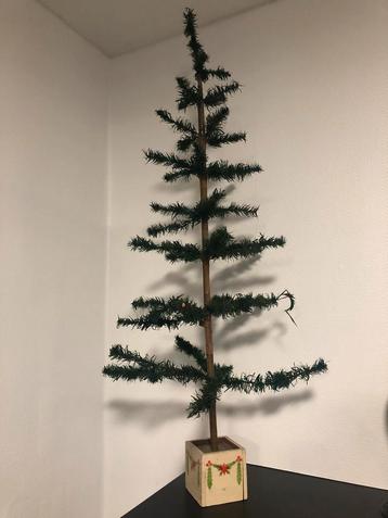 Antieke feathertree kestboom beschikbaar voor biedingen