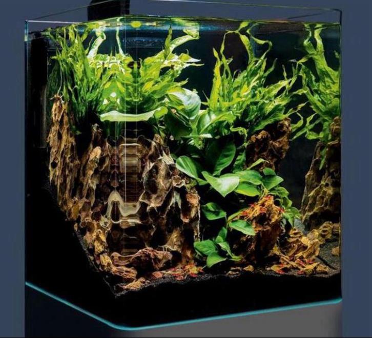 Aquarium Complete Nano Cube 30 Liter, Dieren en Toebehoren, Vissen | Aquaria en Toebehoren, Zo goed als nieuw, Leeg aquarium, Ophalen