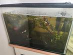 Aquarium, Dieren en Toebehoren, Ophalen, Zo goed als nieuw