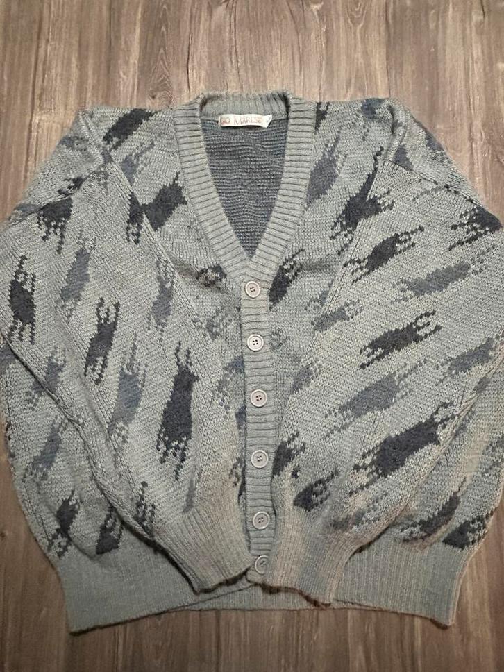 Grijze vintage cardigan – marse XL, Kleding | Dames, Truien en Vesten, Zo goed als nieuw, Maat 46/48 (XL) of groter, Grijs, Verzenden