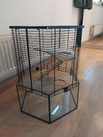 Kooi voor knaagdieren / gerbilarium / hamsterkooi, Enlèvement, Utilisé, Cage, Moins de 60 cm