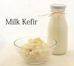 Lait Champagne Lait Kéfir Grains de kéfir fleurs probiotique, Enlèvement