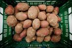 Verse aardappelen, Zakelijke goederen, Landbouw | Aardappelen, Groenten, Fruit en Vlees, Ophalen