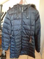 Damesjas River Woods, Kleding | Dames, Jassen | Winter, Gedragen, Blauw, River Woods, Maat 38/40 (M)