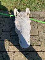 Betonnen paardenhoofd, Dieren en Toebehoren, Ophalen, Gebruikt, Overige soorten