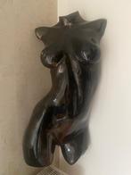 Buste van een naakte vrouw, Ophalen