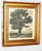 Pierre Abattucci / Belgisch Lithograaf / Kunstschilder, Antiek en Kunst, Ophalen of Verzenden