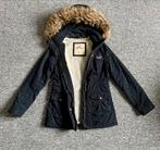 Parka Hollister taille S, Comme neuf, Taille 36 (S), Bleu, Hollister