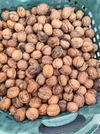 Verse walnoten, Diversen, Levensmiddelen, Ophalen